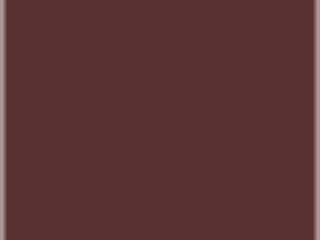 burgundy color on outdoor storage shed roofing