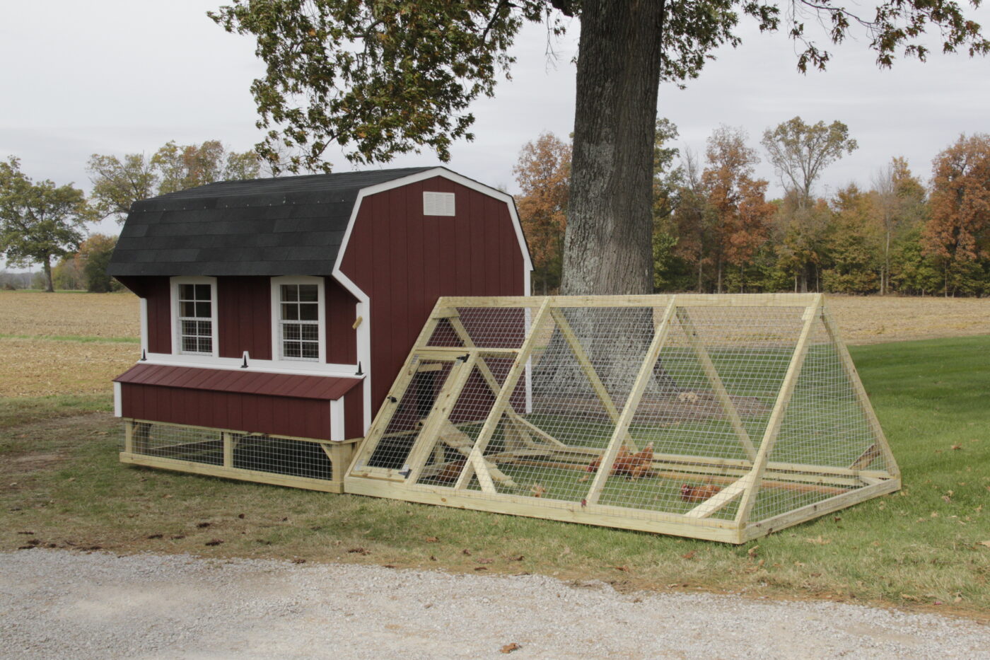 Chicken coops animal shelters in nashville