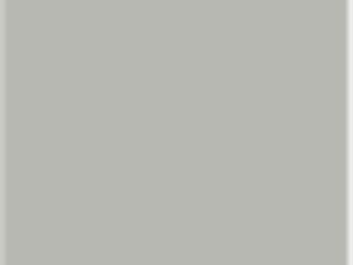 Light Gray light gray colors are a unique design for backyard barns