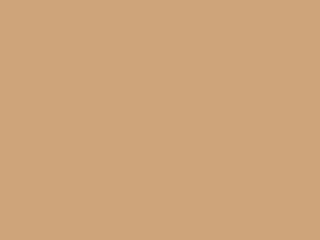 Tan tan color option for metal roof