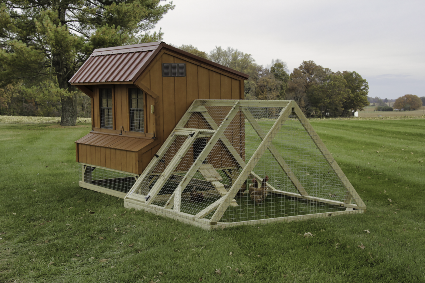 quaker chicken coops