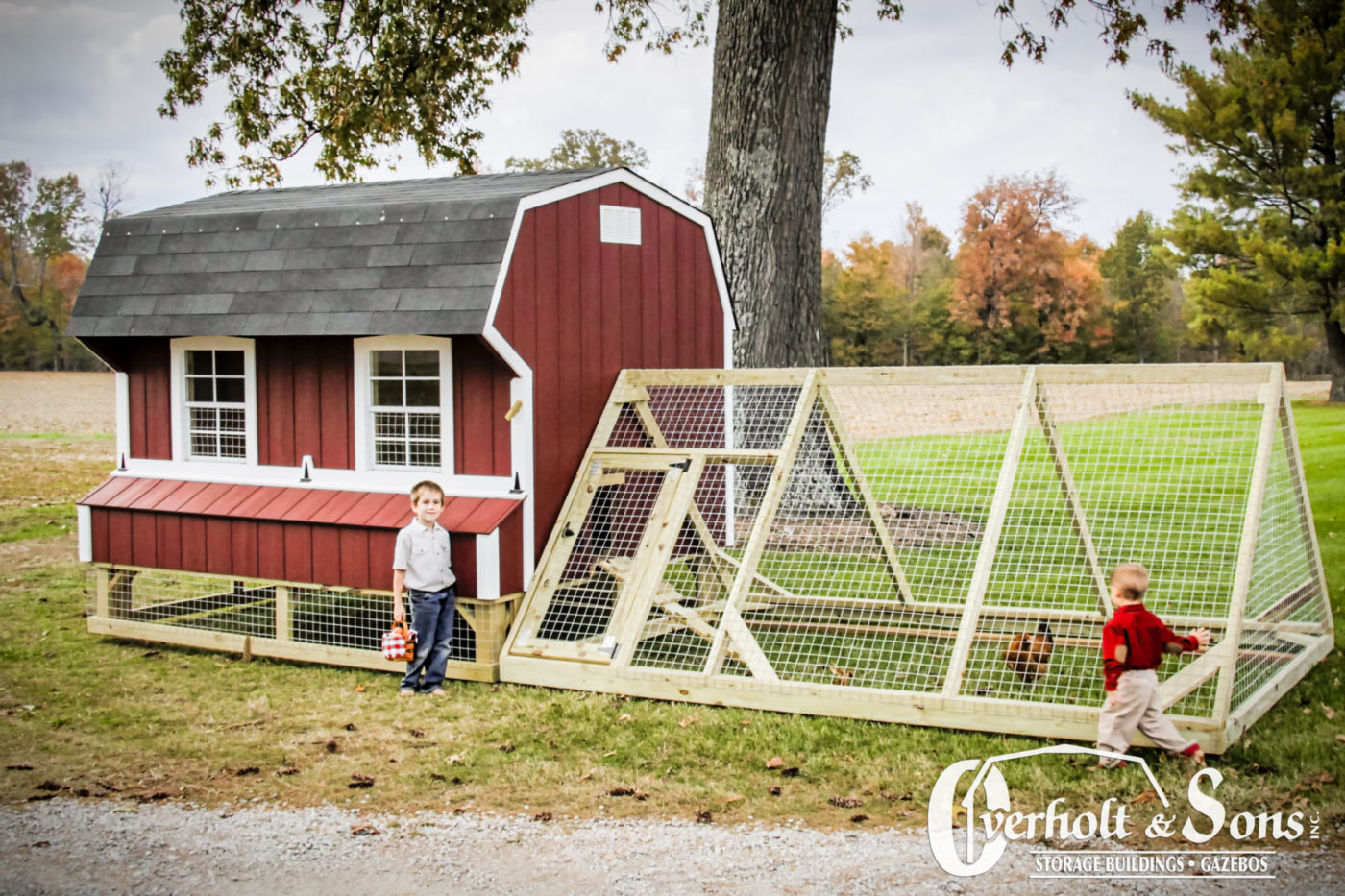 chicken coops for sale in ky