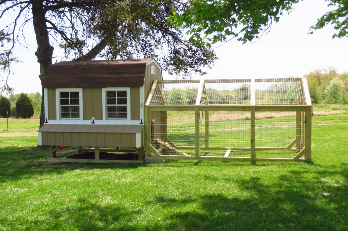 chicken coop near me