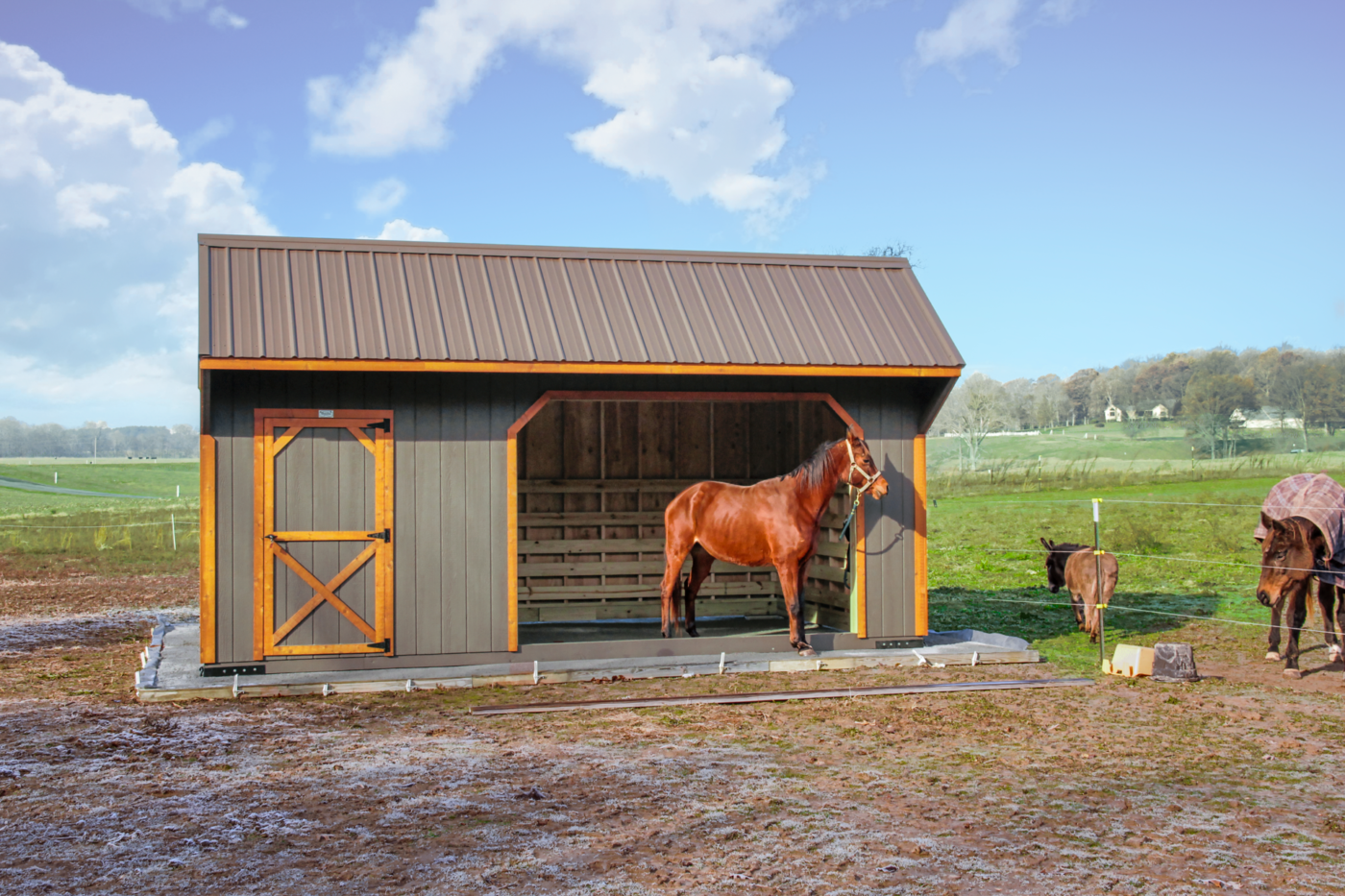 run in sheds for sale in ky