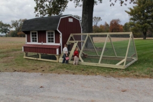 Horse-run-in-shed-and-chicken-coop-designs-in-tn