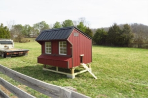get Horse-run-in-shed-and-chicken-coop-designs-in-tn