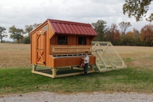 get chicken coops designs in ky