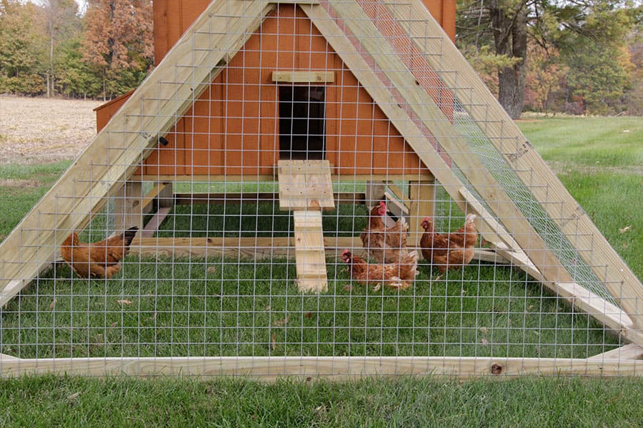 Horse-run-in-shed-and-chicken-coop-designs-in-ky