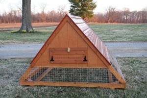 Horse-run-in-shed-and-chicken-coop-designs-in-tn