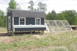 get Horse-run-in-shed-and-chicken-coop-designs-in-ky