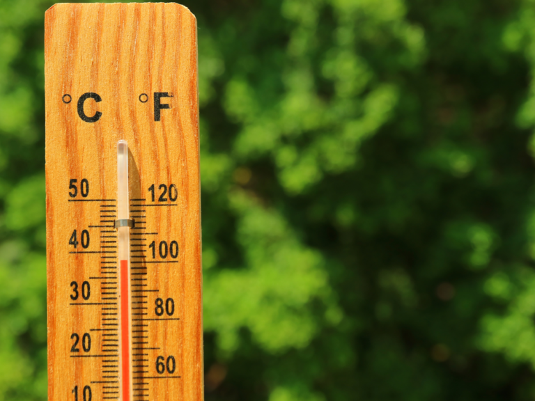 how to keep your shed cool in summer