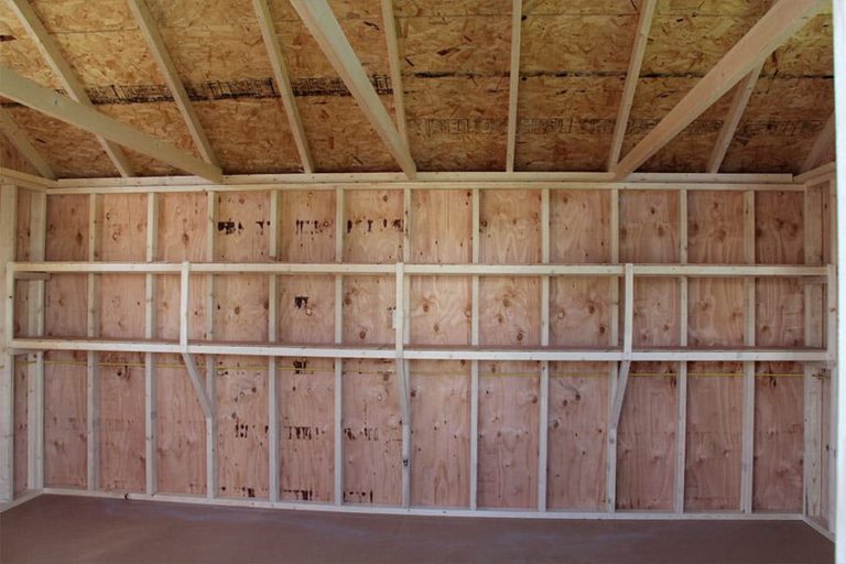 storage building with shelving on inside